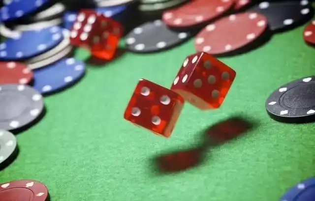 timbet com
