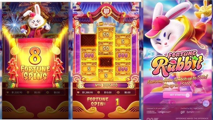 timbet com