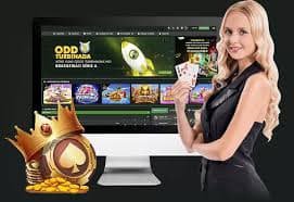 timbet com timbet com