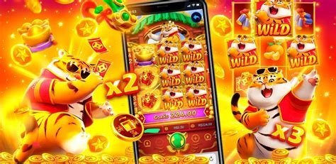 timbet com
