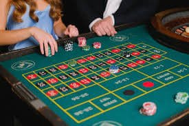 timbet com